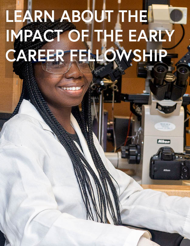 Early Career Fellows OWSD